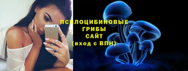 твердый Рославль