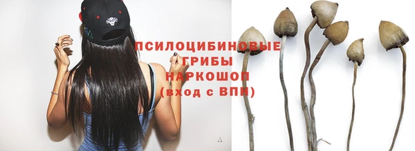 твердый Рославль
