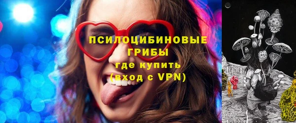 apvp Заволжск