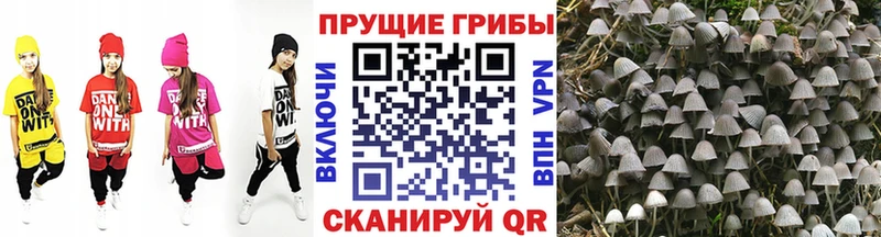 хочу   Нарткала  Псилоцибиновые грибы ЛСД 
